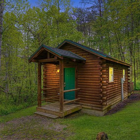 Blue Rose Cabins - Cozy Cabin Logan Extérieur photo